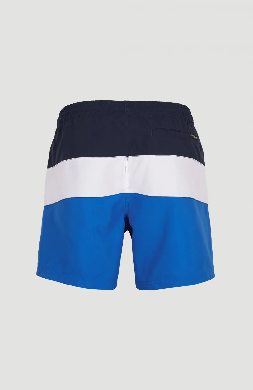 Frame Block Swim Shorts | Blue Multi 9