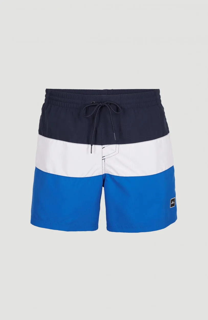 Frame Block Swim Shorts | Blue Multi 9