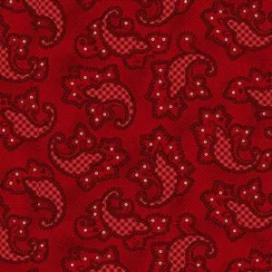 Garnets & Gingham - Gingham Paisley Garnet