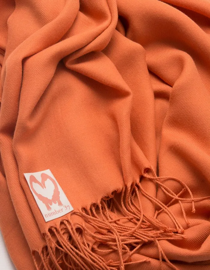 Pumpkin Orange Pashmina