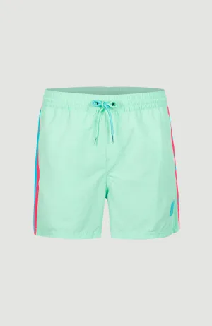 Vert Retro 14'' Swim Shorts | Beach Glass